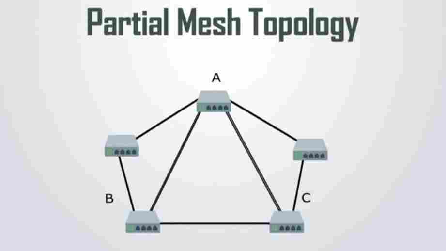 karakteristik  topologi jala. jpg